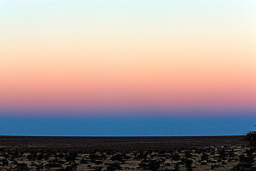 纳米比亚,卡拉哈里沙漠