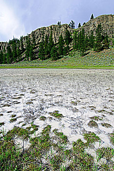 泥,暂时,产卵,水池,白色,湖,省立公园,南方,奥克纳根谷,不列颠哥伦比亚省