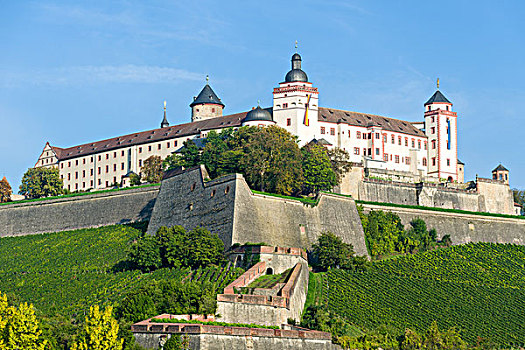 玛利恩堡,要塞,围绕,葡萄园,五兹堡,巴伐利亚,德国,欧洲