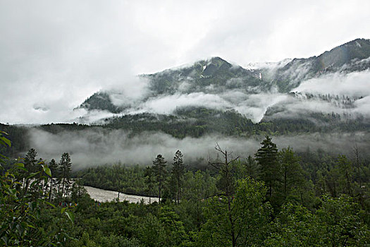 青山绿水