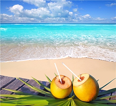加勒比,天堂海滩,椰树,鸡尾酒