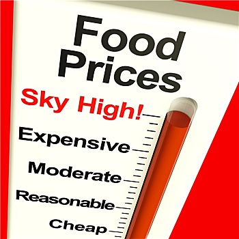 食物,价格,高,监控,展示,高档,食物杂货
