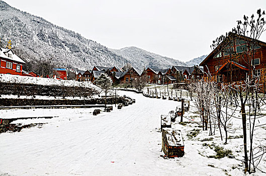 成都西岭雪山美丽雪景