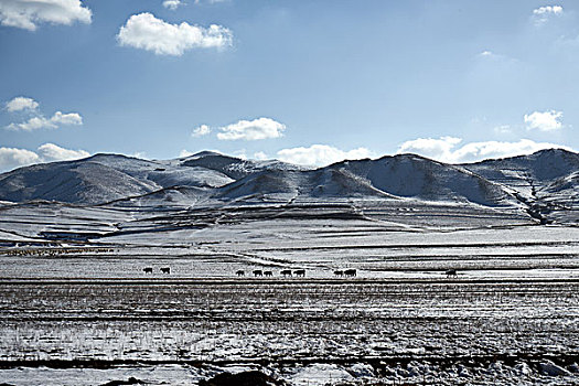 大自然的雪山