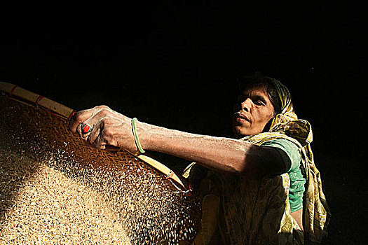 女人,孟加拉,许多,孩子,工作,稻米,工厂,早晨,收银柜,晚上,美元,白天