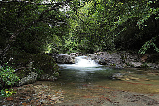 陕西宁陕火地塘溪水