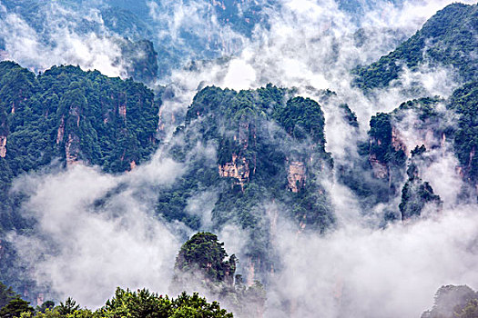 湖南,张家界,峰林,云雾