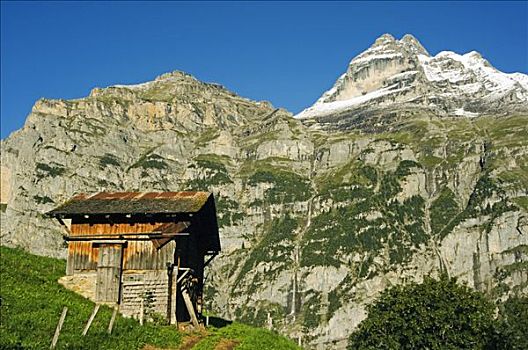 山区木屋,坐,仰视,顶峰,少女峰,因特拉肯,瑞士