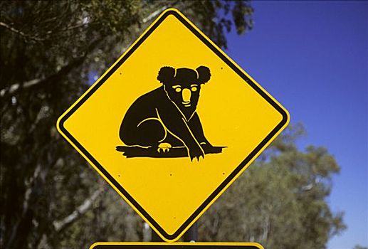 树袋熊,标识,昆士兰,澳大利亚