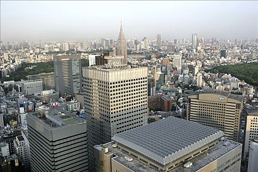 日本,东京,新宿,商务区,市政厅,建筑