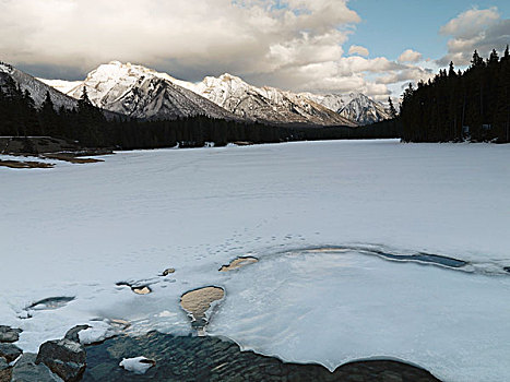 冬天,景色,班芙,艾伯塔省,加拿大