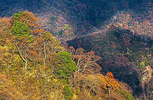 光雾山香炉峰风光