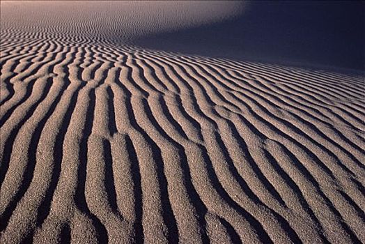沙丘,科罗拉多,美国