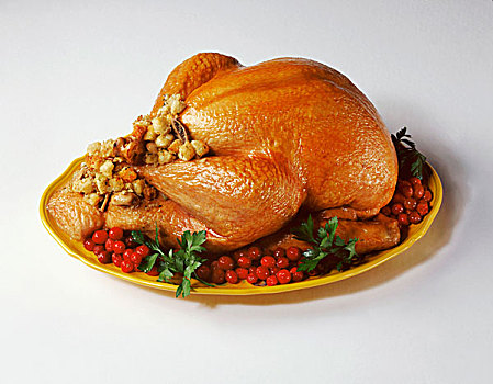 感恩节,火鸡,大浅盘,白色背景