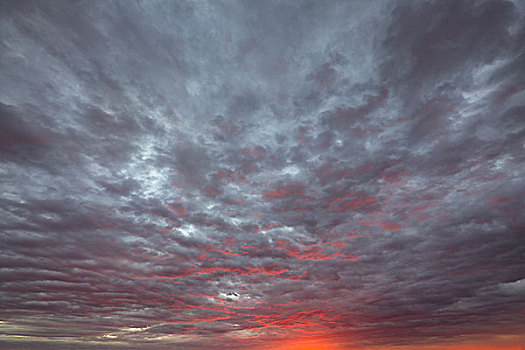 天空,黎明,乌卢鲁卡塔曲塔国家公园,北领地州,澳大利亚