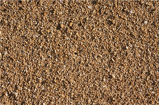 沙子,壳,背景,图像
