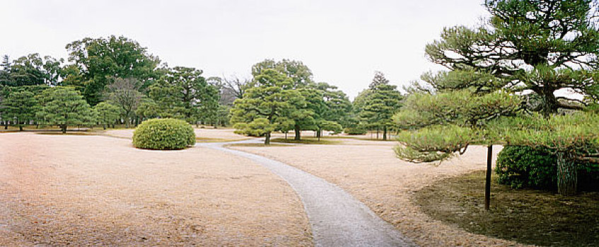 道路,公园