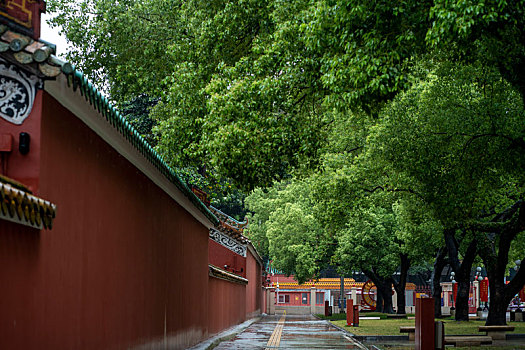 广州春雨中的广州图书馆农讲所红墙绿树大广场