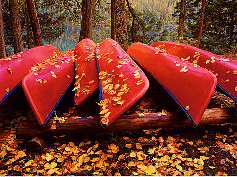 颠倒,独木舟,公园,不列颠哥伦比亚省,加拿大