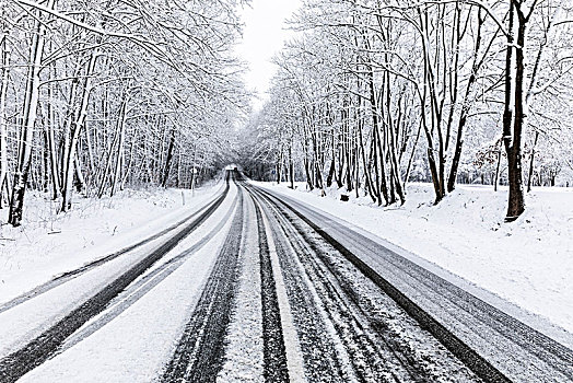 平滑,道路,雪