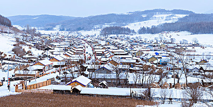 二合舒兰雪乡玉米