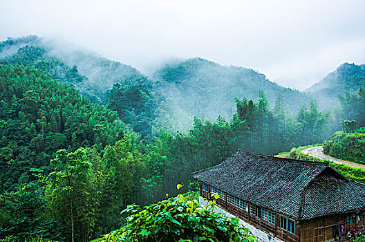 雨雾山景