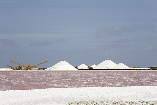 盐,地点,博奈尔岛,荷兰,安的列斯群岛
