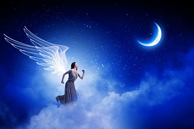 天使之翼图片_天使之翼高清图片_全景视觉