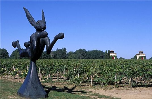 法国,阿基坦,野兔,雕塑,葡萄园