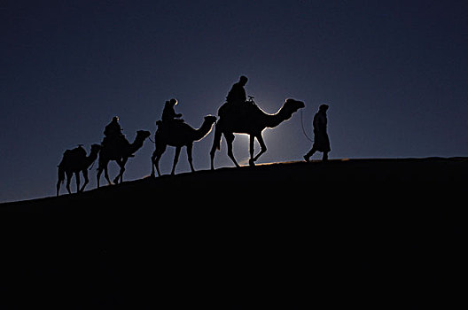 驼队,骆驼,沙丘,沙漠,逆光,撒哈拉沙漠,埃及,非洲